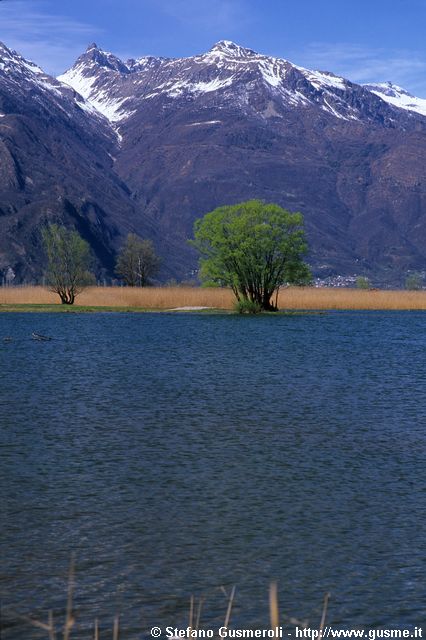  Pozzo di Riva, valle della Forcola e monte Mater - click to next image