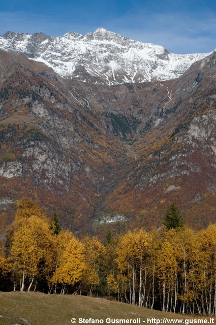  Boschi autunnali e Cima da Lagh - click to next image