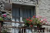 20050607_131905 Balcone fiorito