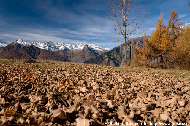  Autunno a Pesceda - click to next image