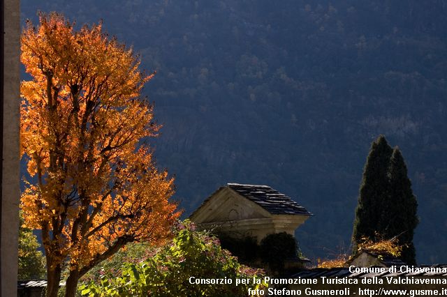  Giardino in autunno - click to next image