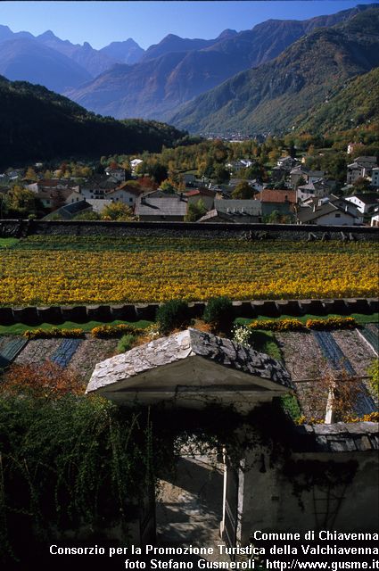  Giardino e vigneti - click to next image