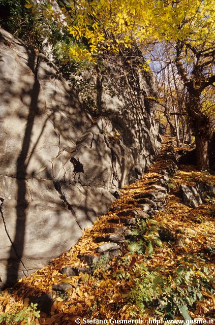  Scala sopra Stalle Ronchi - click to next image