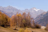 20071102_115612 Boschi autunnali a Pradella