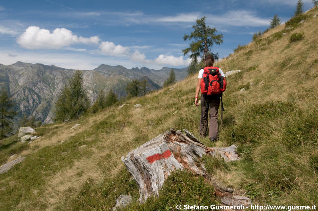  Verso l'Alpe Borlasca - click to next image