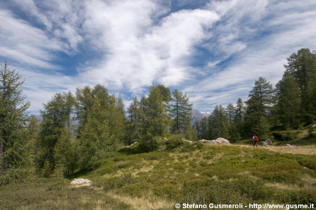  Radura presso il monte Borlasca - click to next image