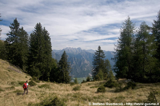  Radura presso il monte Borlasca - click to next image