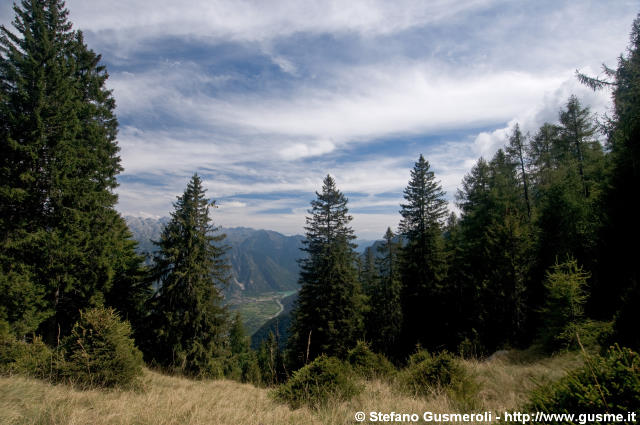  Radura presso il monte Borlasca - click to next image