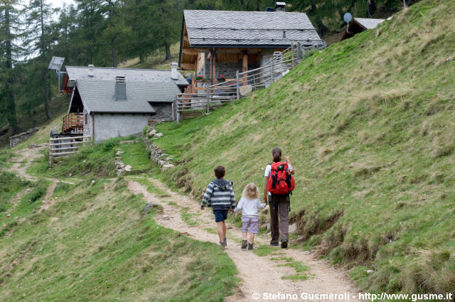  Alpe Borlasca - click to next image