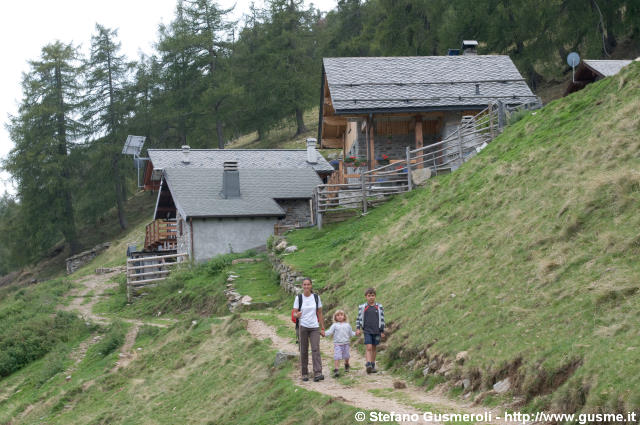  Alpe Borlasca - click to next image