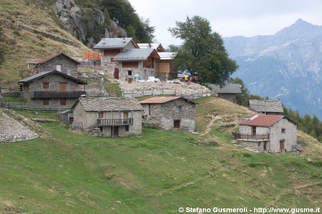  Alpe Borlasca - click to next image