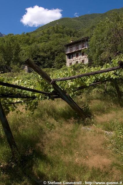  Vigneti a Ca' Vanoni - click to next image