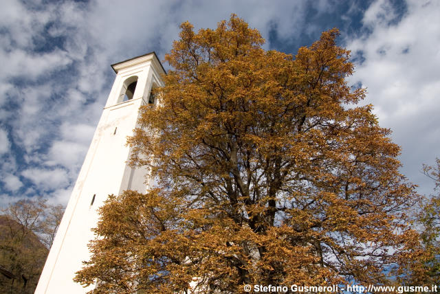  Il campanile di S.Andrea accanto al faggio - click to next image