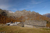 20091029_121638 Alpe Laguzzolo