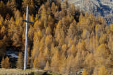 20091029_123547 Croce e larici