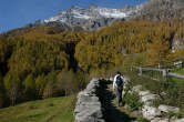 20091027_095052 Sentiero e piz Papalin