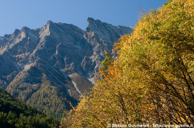  Castagni autunnali e piz Papalin - click to next image