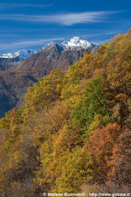  Monte Mater e boschi autunnali - click to next image