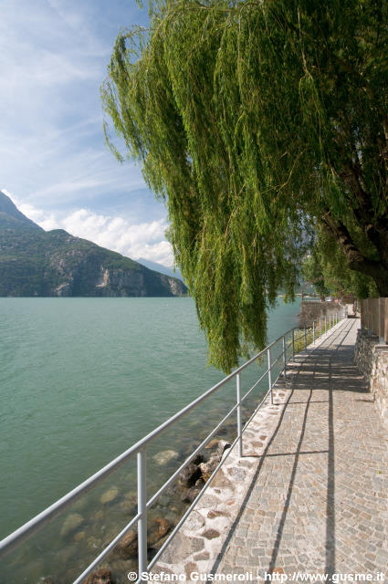  Passeggiata lungo il lago di Mezzola - click to next image