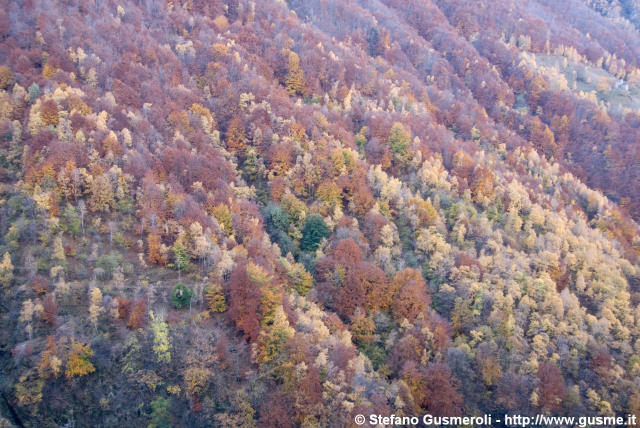  Val dei Ratti autunnale - click to next image