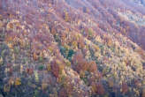 20071103_105351 Val dei Ratti autunnale