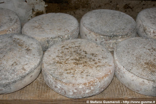  Forme di formaggio di capra - click to next image