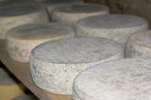 20120801_110041 Forme di formaggio