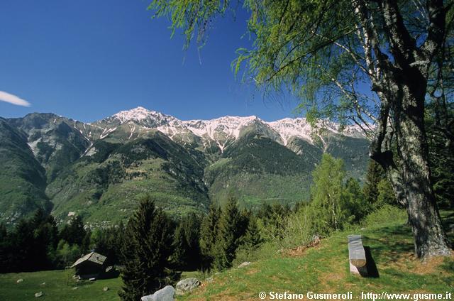  Panorama dal boschetto di larici e tigli a Tabiadascio - click to next image