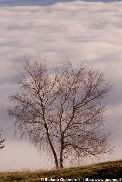  Bettulla sopra un mare di cirrocumuli - click to next image