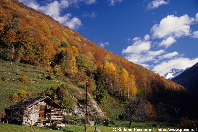  Autunno a Sarlone, nei pressi dell'Acquafraggia - click to next image