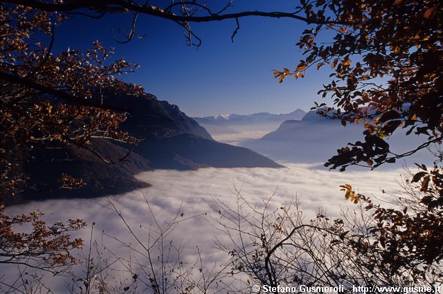  Nuvole sulla valchiavenna tra le piante di Daloo - click to next image