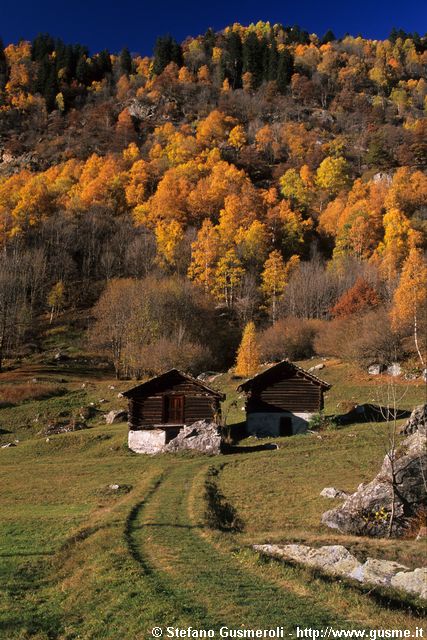  Fienili e boschi autunnali - click to next image