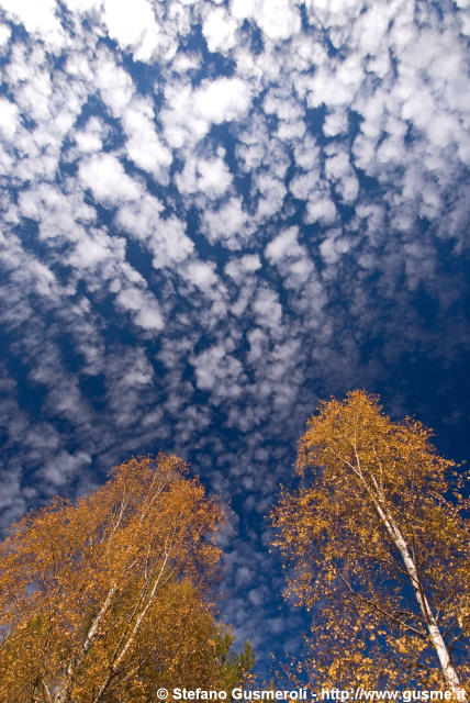  Boschi autunnali e cielo a pecorelle - click to next image