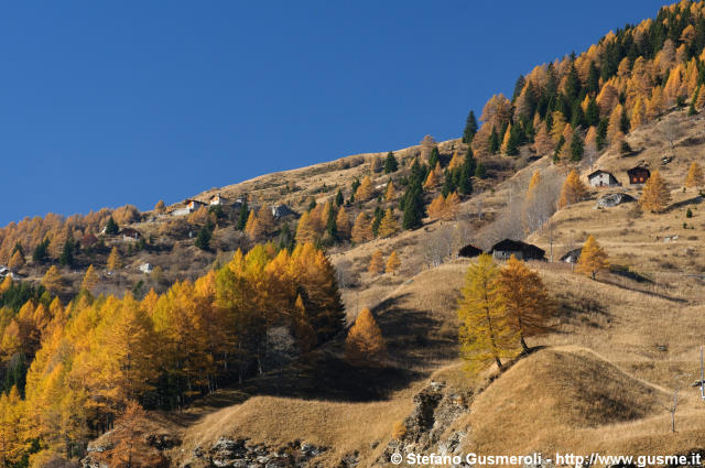  Pascoli in val Febbraro - click to next image