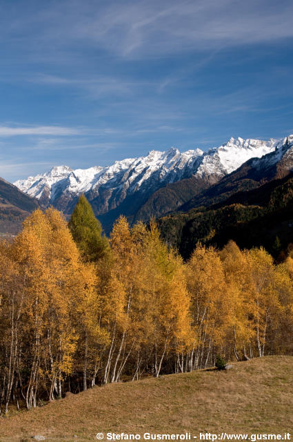  Bregaglia autunnale da Pesceda - click to next image