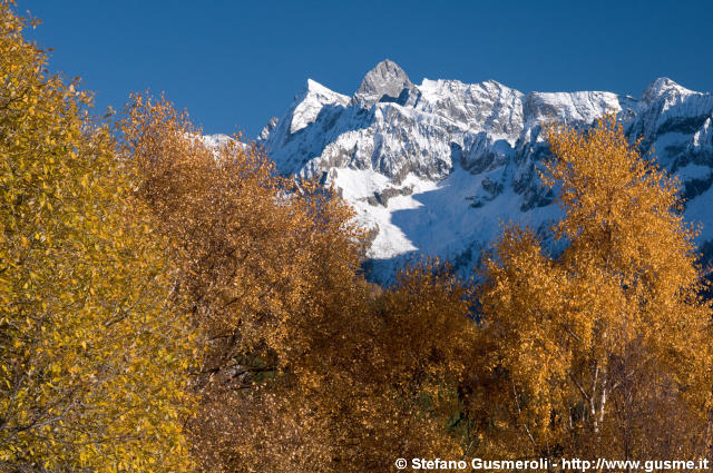  Cime della bregaglia tra betulle autunnali - click to next image